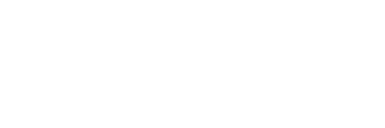 Logow univ instiki